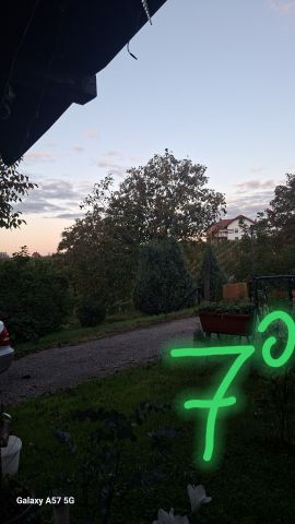 jutro v prlekiji