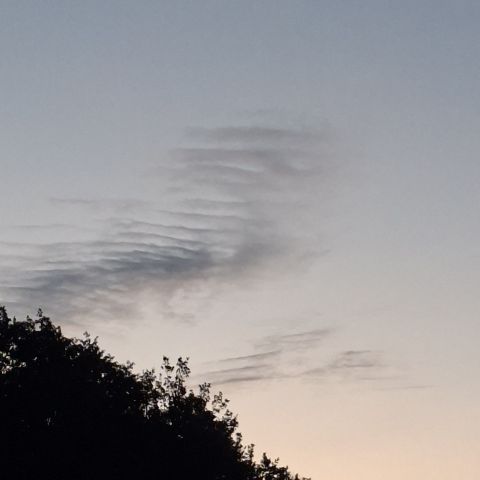 jutro  z madeži