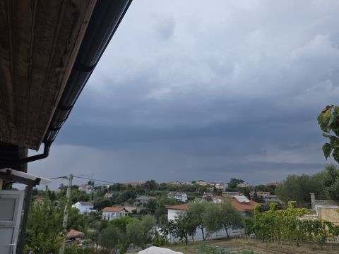 Hrvatini