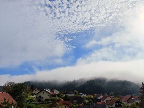 Litija jutro