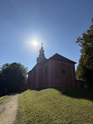 Sončno na Rožniku.