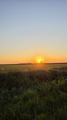 jasno jutro pri 13° Cirkovce