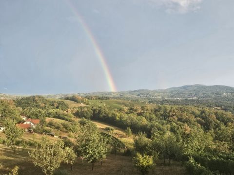 Radovica Metlika