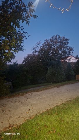 jutro v prlekiji