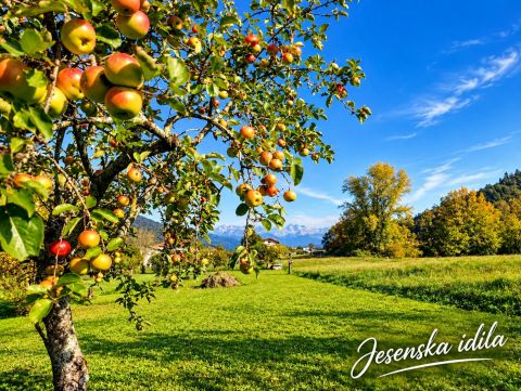 Pogled na tolminsko/bohinjske gore