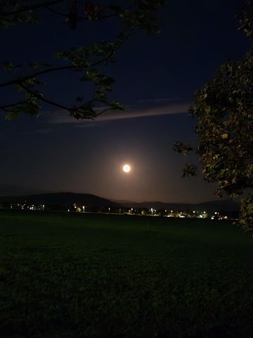 🌕