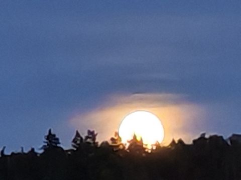 lunca se gunca