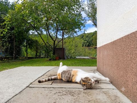 Na goriškem se že jasni