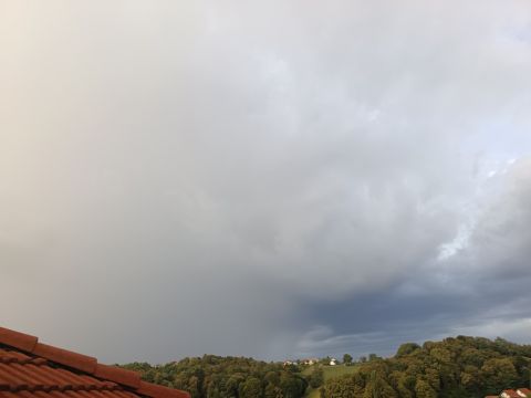 kicar-ptuj