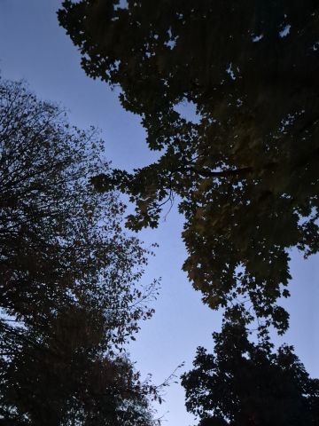 večerno nebo ✨️