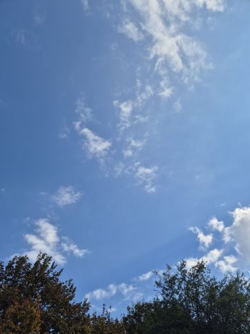 ✨️
