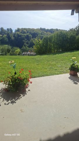 ☀️☀️☀️☀️☀️☀️ Mihalovci