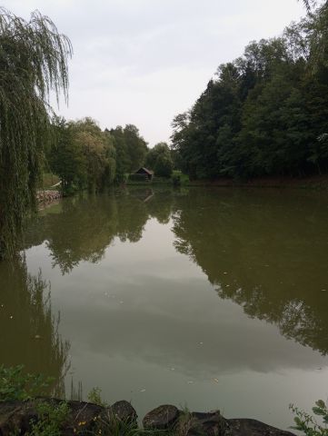 bajerju Moravče oblačno