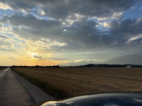 Mengeško polje
