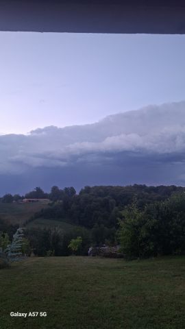 oblački