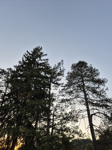 ✨️