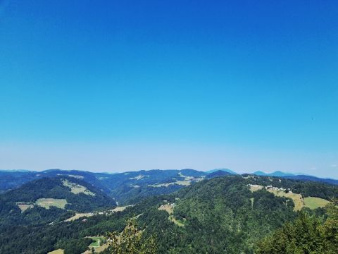 Polhograjska gora (Sveti Lovrenc)