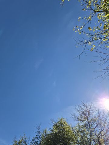 LJ ☀️