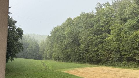 Goričica pri Moravčah
