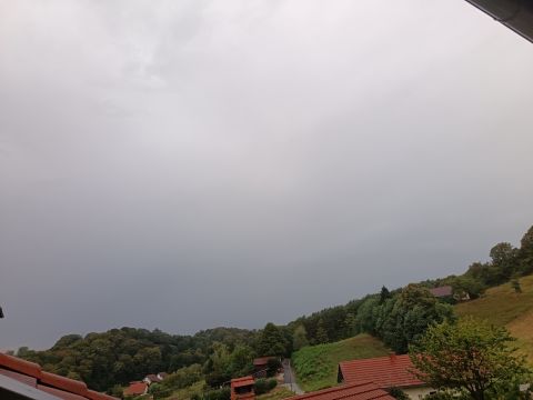 ptuj-kicar
