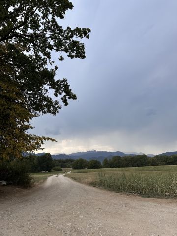 Veter in nevihta v ozadju