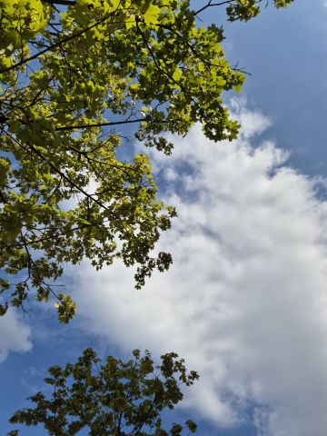 ☀️