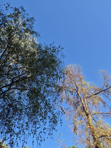 ☀️